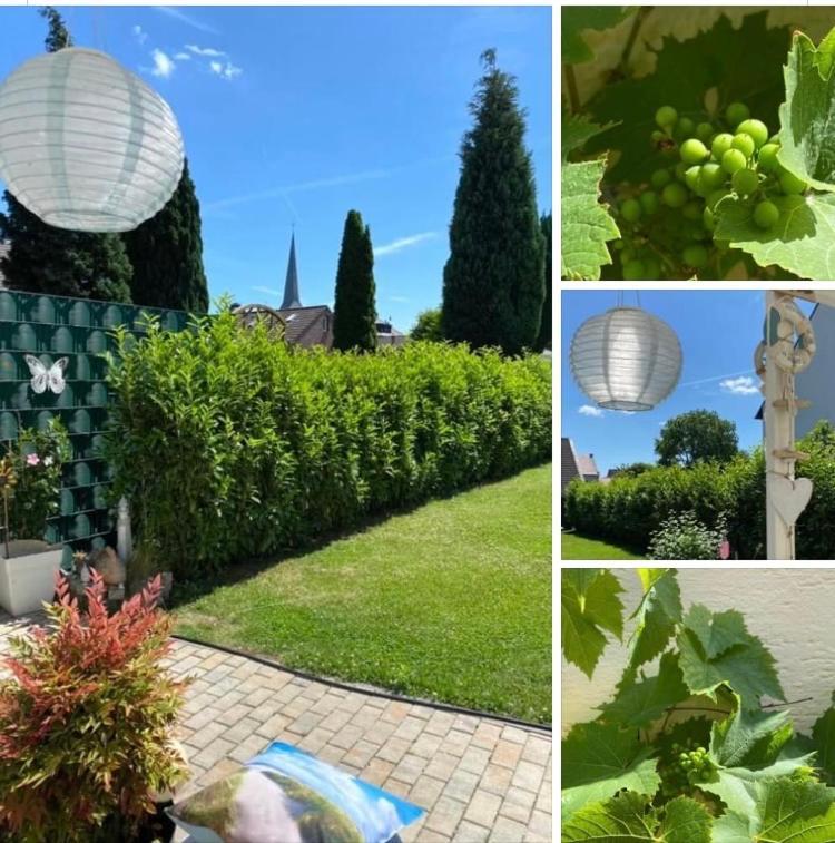 Apartment Glesch Bergheim  Esterno foto